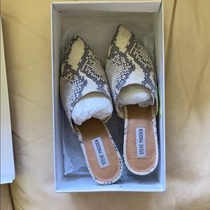 Steve Madden Snakeskin mules